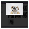 webdesign
