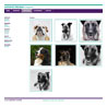 webdesign